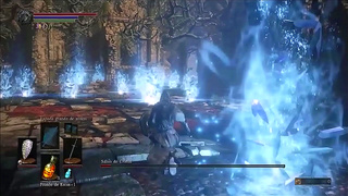 Dark Souls Warrior Faces Off Against Eva Pilot in Hot Hentai Duel